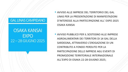 AVVISO ALLE IMPRESE DEL TERRITORIO DEL GAL LINAS PER LA PRESENTAZIONE DI MANIFESTAZIONI D&#039;INTERESSE ALLA PARTECIPAZIONE ALL&#039; EXPO 2025 OSAKA KANSAI