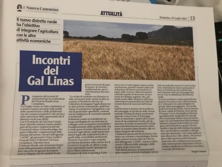 Articolo de &quot;Il Nuovo Cammino&quot;